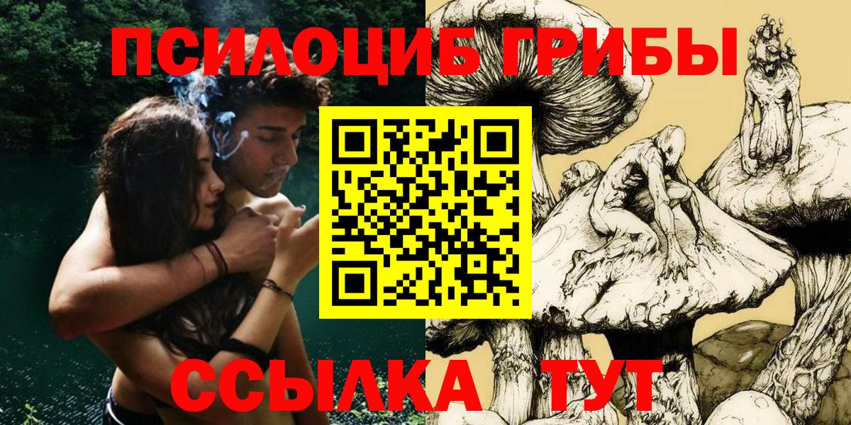 Полысаево  Псилоцибиновые грибы MAGIC MUSHROOMS  Псилоцибиновые грибы мицелий  Вход с VPN 