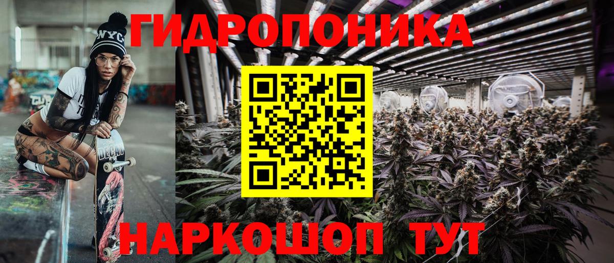 Конопля план Полысаево